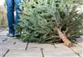 Man accused of stealing Christmas trees and perfume