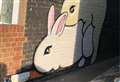 Bunny picture angers town