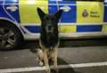 Police dogs search for suspected car thief