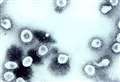 Coronavirus: What we know