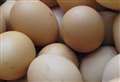 Warnings of egg shortages as shelves sit empty