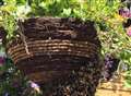 Bee & Q re-opens garden after swarm removed