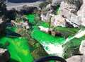 Waterfall turned green by pranksters