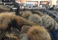 Store slammed after rabbit fur coats discovered