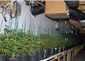 Gang guilty of UK's biggest-ever cannabis plot