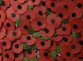 Remembrance parade finds vital volunteers