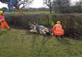 Horse rescued after falling into ditch