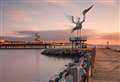 Funding hurdles stall bid for 30ft heron sculpture