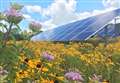 Raspberry Solar Farm plans submitted 