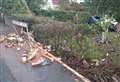 Safety plea after car crashes into garden