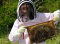 Beekeeper's hive of activity