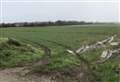 Dog's body driven over after being dumped in field
