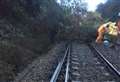 Landslide causes rail disruption 