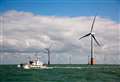 Plea for turbines to be painted green to help tourism
