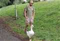 ‘I raised a goose during lockdown and now we go for walks'