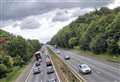 Runaway dogs spark delays on M2