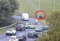 Distressed cow causes M20 delays
