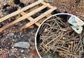 Hundreds of nails litter beach after pallets burned at party