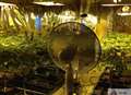 Brothers sentenced over £60,000 cannabis factory
