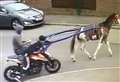 Moment horse and cart riders stole motorbike caught on film