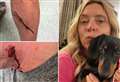 Bulldog on steroids dragged woman down gravel path as it savaged her puppy