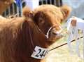 County show dates brought forward