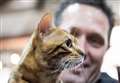 International cat show to bring purrfect weekend