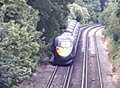 Services cancelled after train hits tree