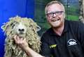 Livestock live their best lives at the Kent County Show 
