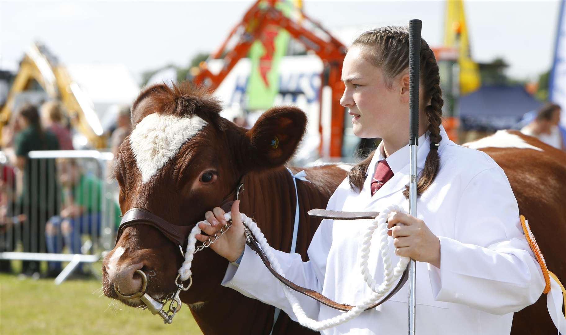 Young farmers will be showing their livestock, as Kayleigh Lancaster did last year with Kiwi Picture: Andy Jones