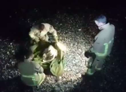 The seal pup was rescued from Birchington Beach last night. Picture: Kent Fire and Rescue Service