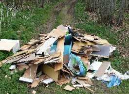 Fly-tipped rubbish in Sawpit Road, Kingsdown