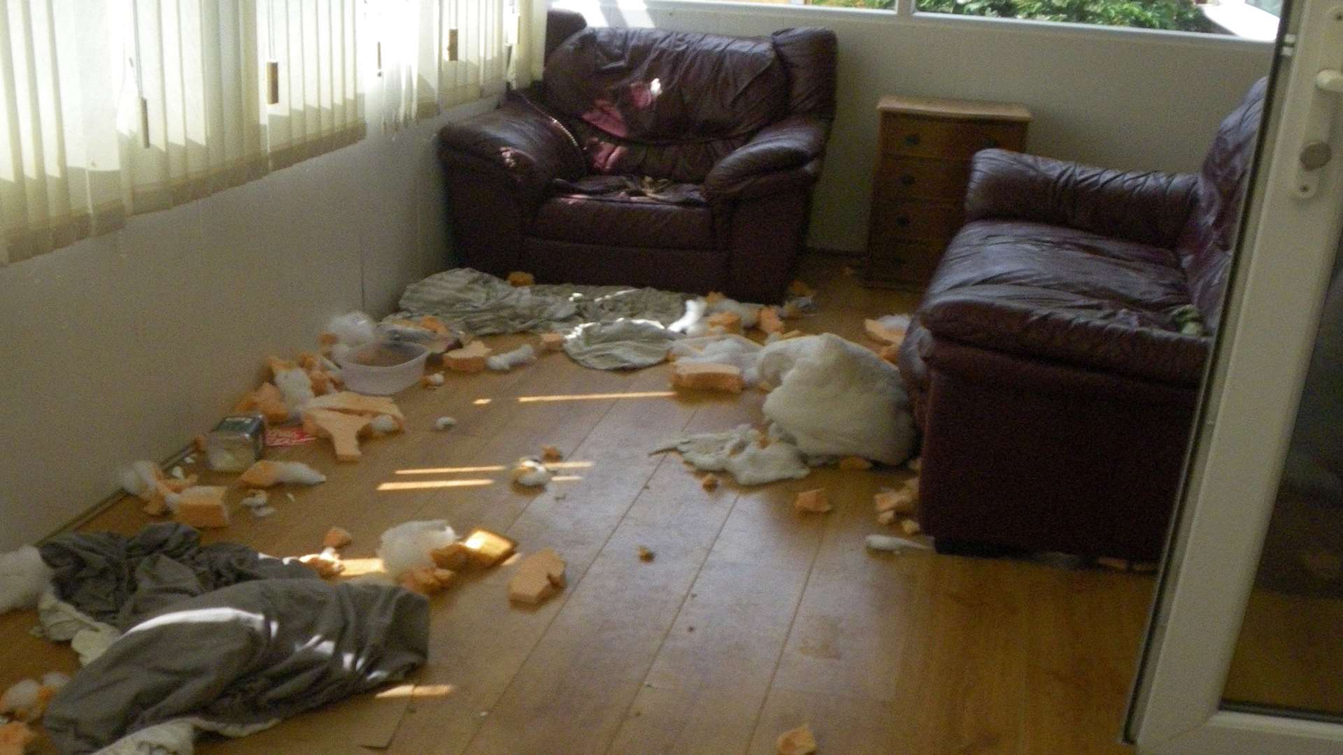 The distressed staffie damaged furnishings after being locked in the sweltering conservatory.