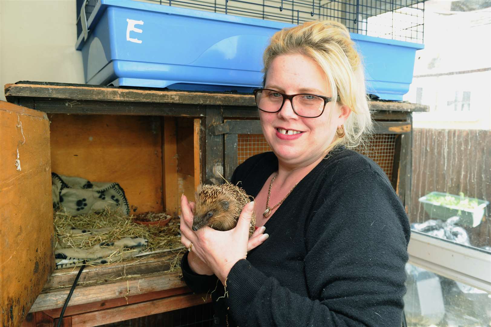 Kelly Smith looks after 16 hedgehogs at her home in Strood