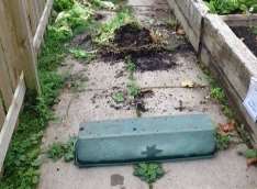 Plant pots have been overturned