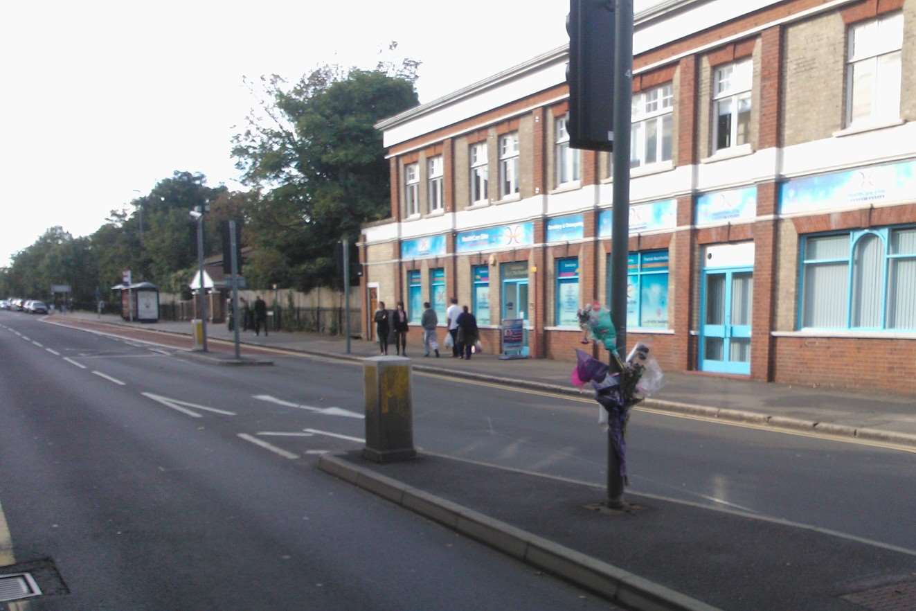 Mrs Petrasova was struck down by an Arriva bus outside Iceland on New Road, Gravesend
