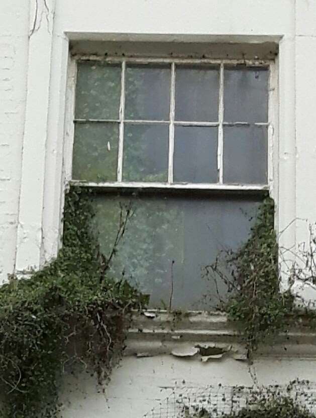 The weeds on the disused building in Biggin Street, Dover, crept inside the window.