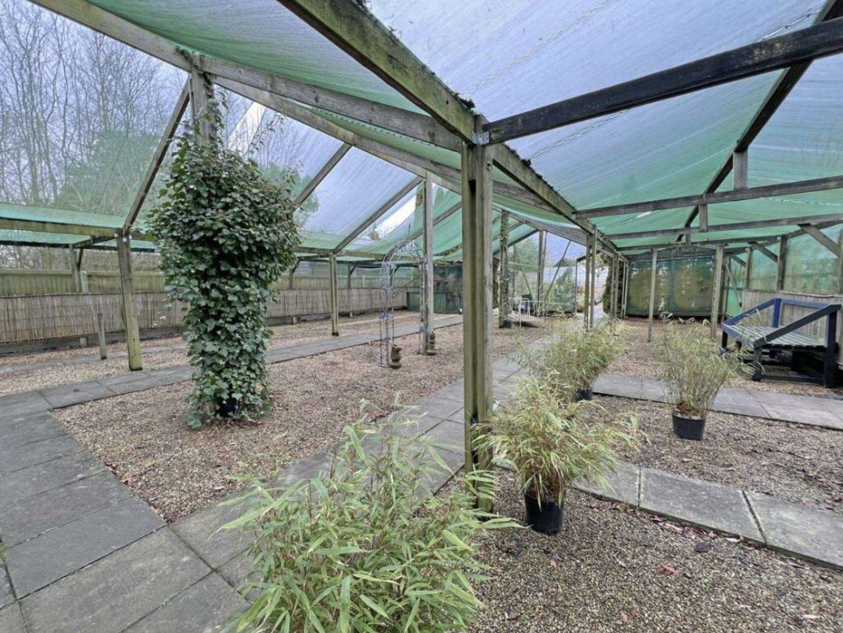 It is thought the greenhouses at Preston Garden Centre could be used to create storage or more display space. Picture: Christie & Co