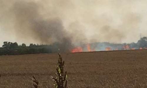 The flames ripping through the corn field behind Bobbing Breakers which is based in Sheppey Way. Picture by @Kentelectric