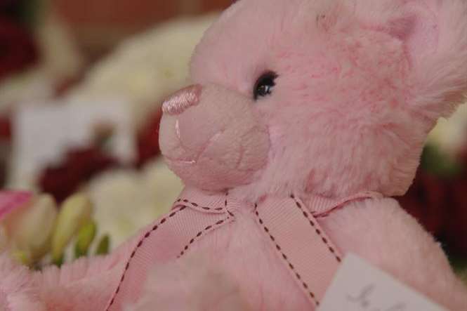 A soft toy left in memory of Jade Glen and her unborn baby Dolly May