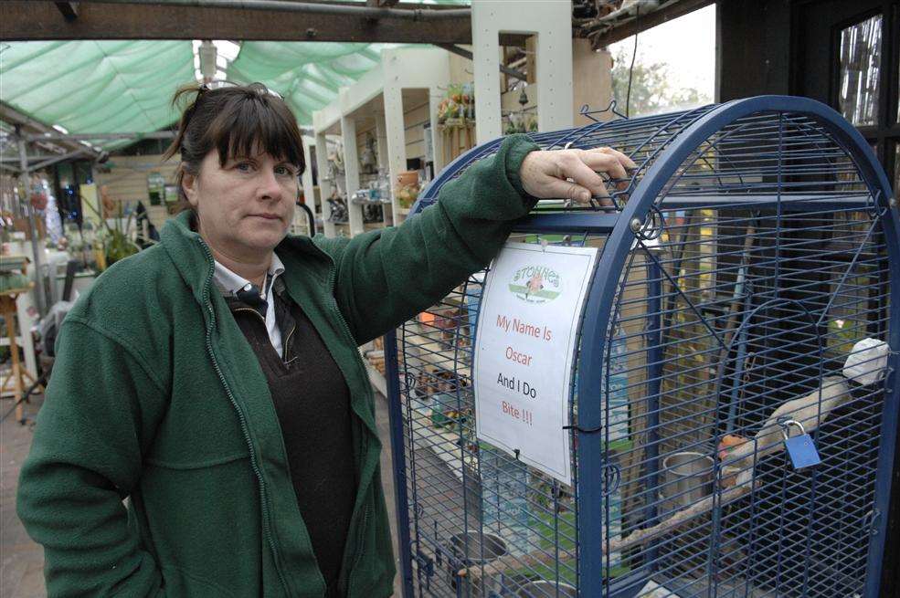 Dawn Oriss who has had two African grey parrots stolen from Stonnes Family Centre in Halfway