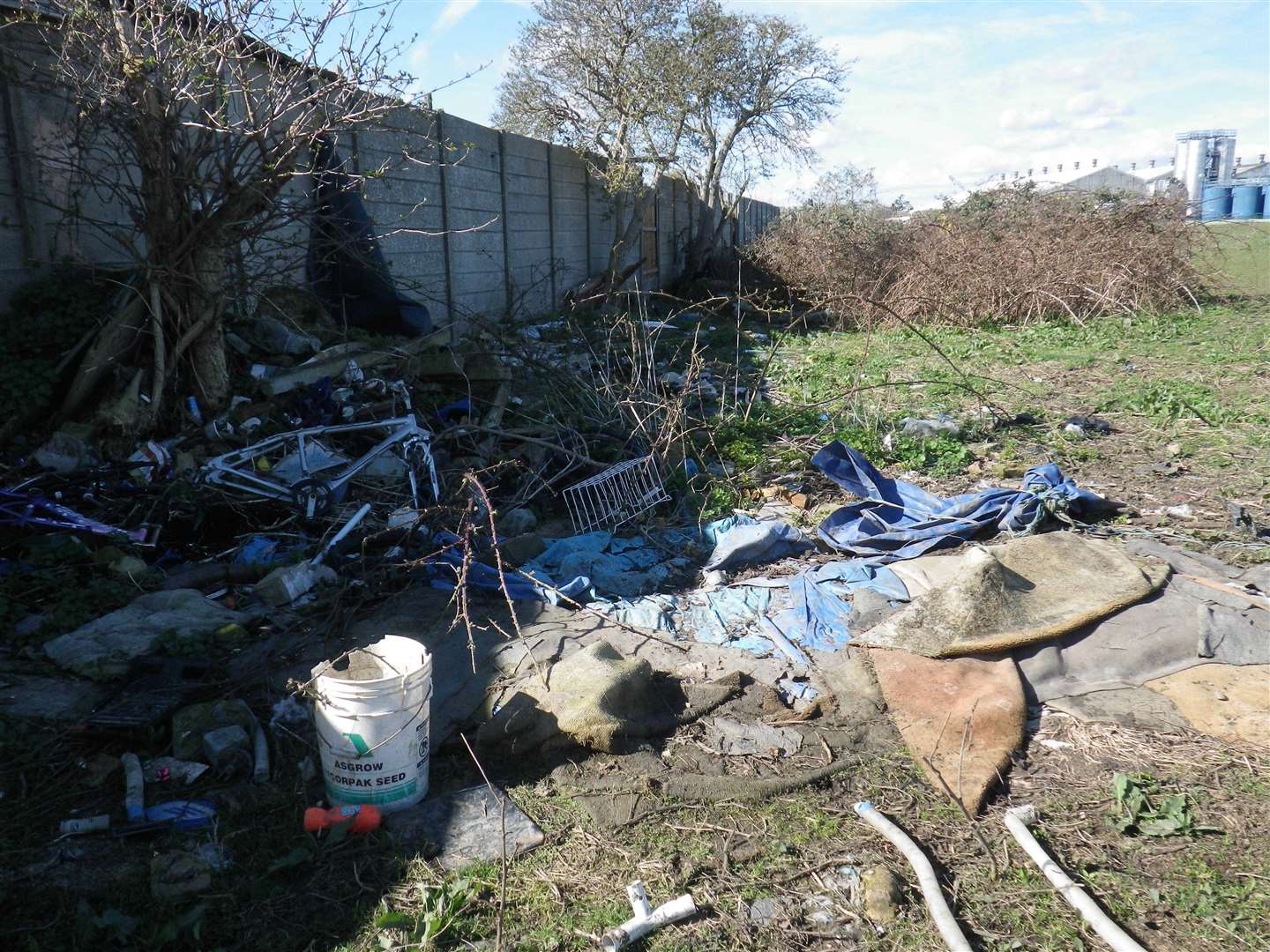 Barbed wire, plastic netting and litter were found dumped next to the horses. (3177510)