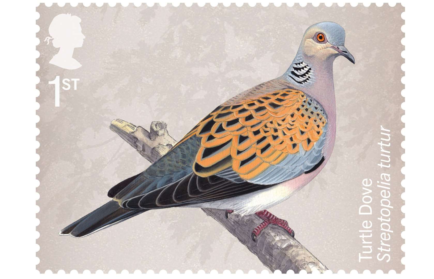 A turtle dove was chosen for one of the 10 stamps