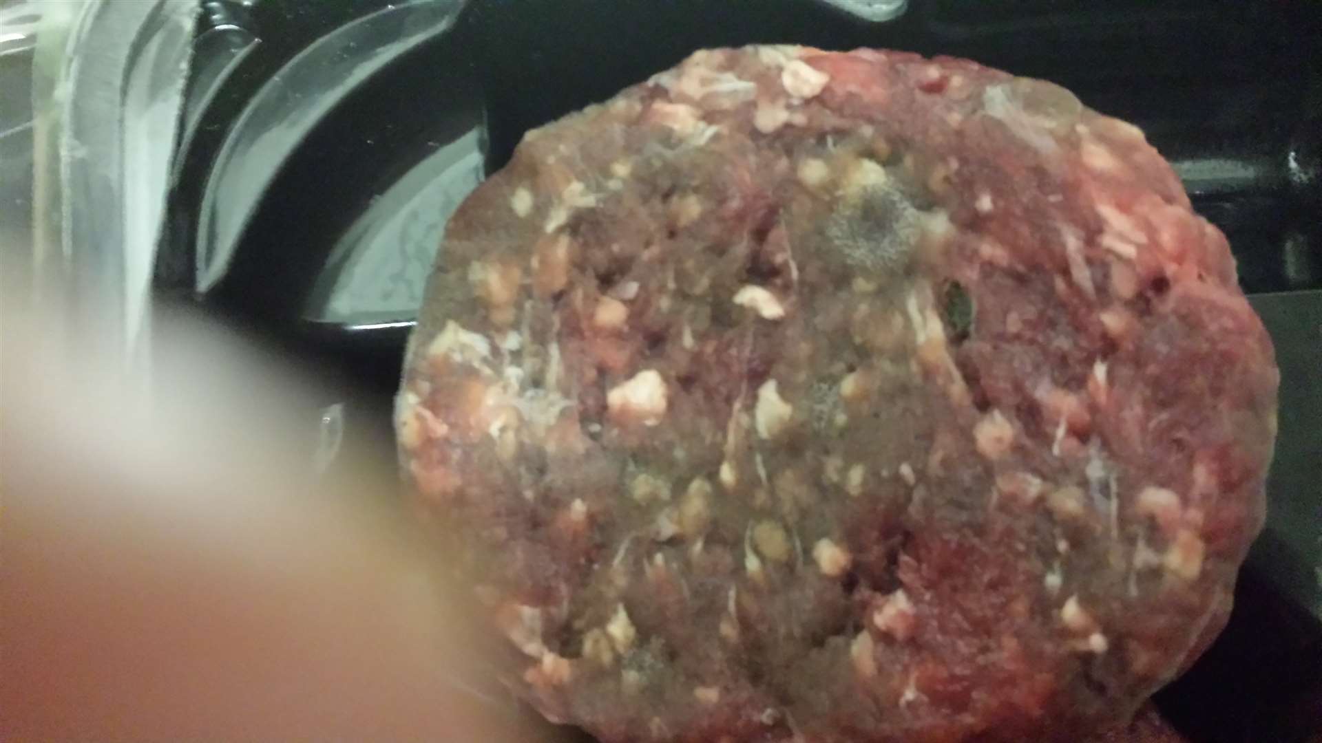 The mouldy venison burger bought from Asda