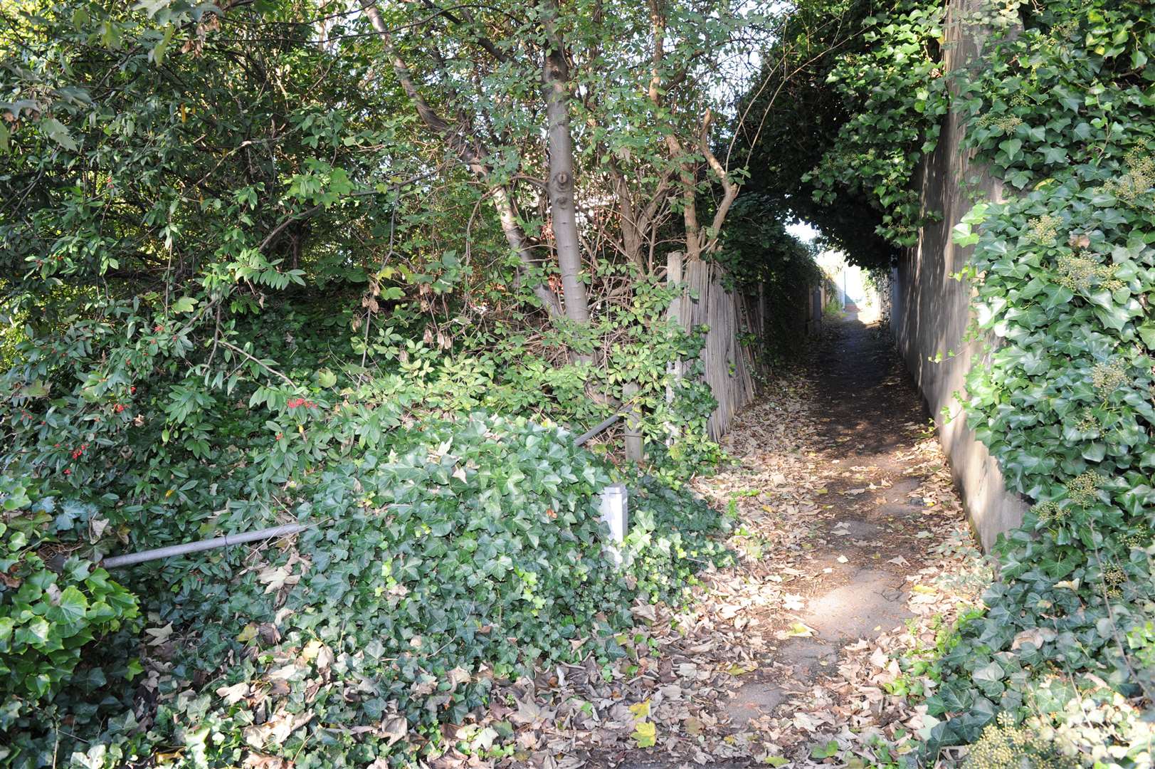 The alleyway where Claire Tiltman was stabbed