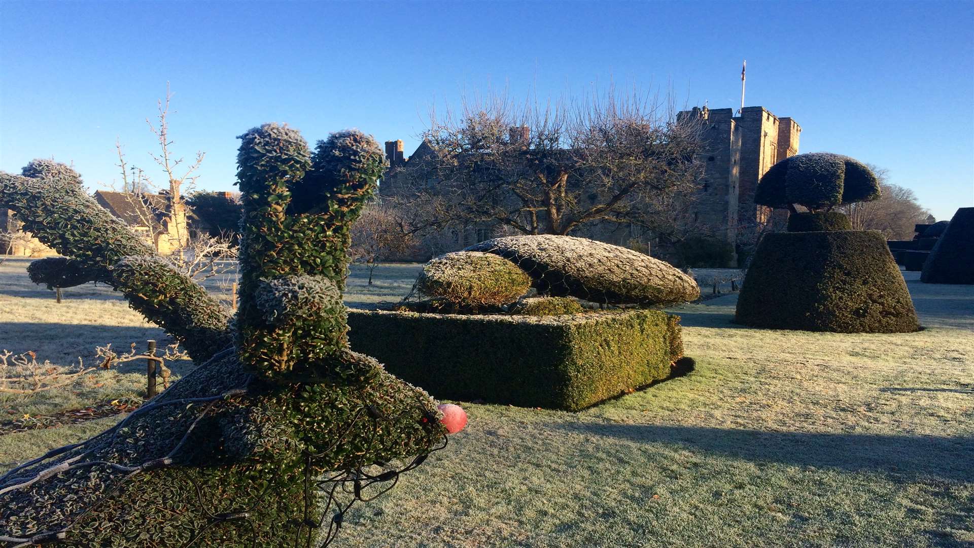 Another frosty morning at Hever