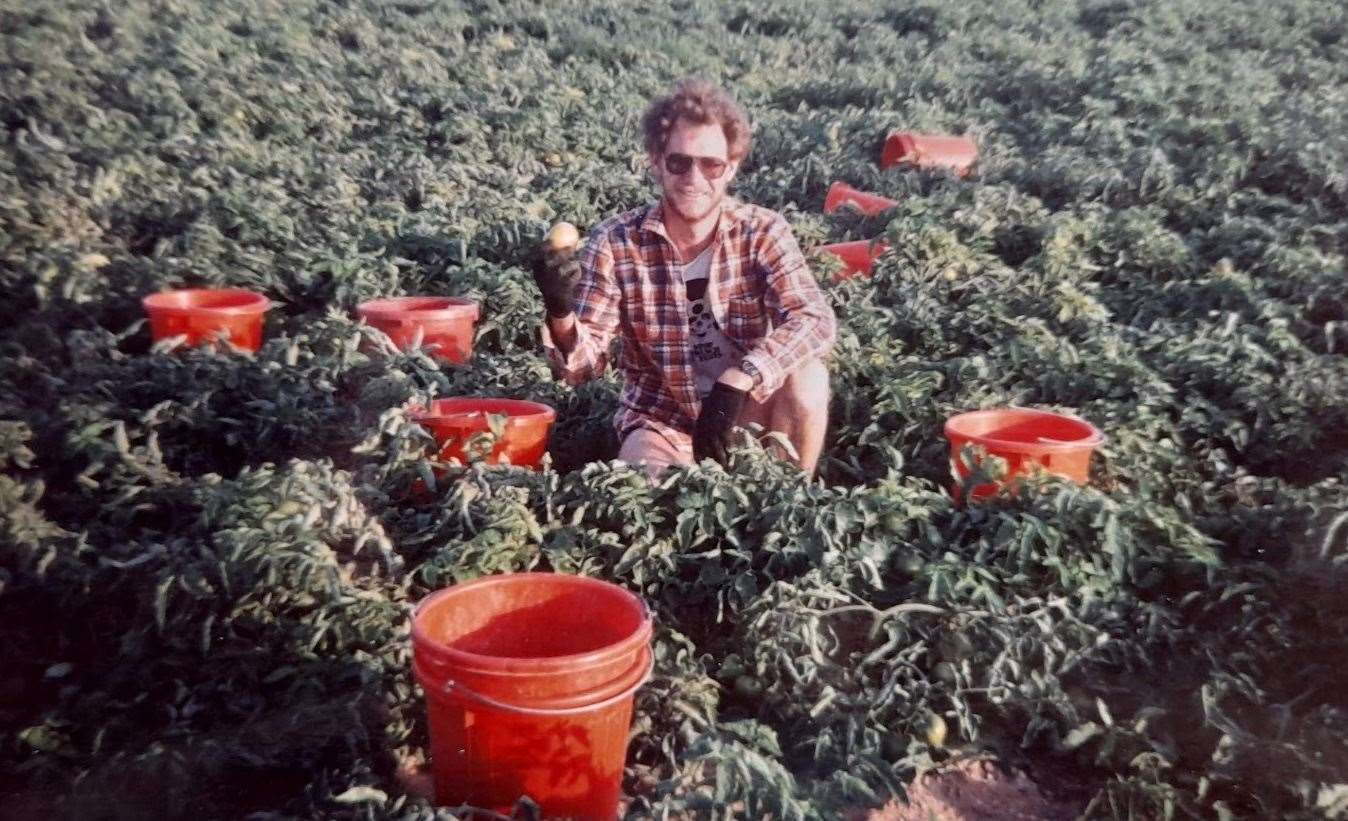 Dennis picking tomatoes at Hatzeva in Israel during his travels in 1987. Photo: Family release