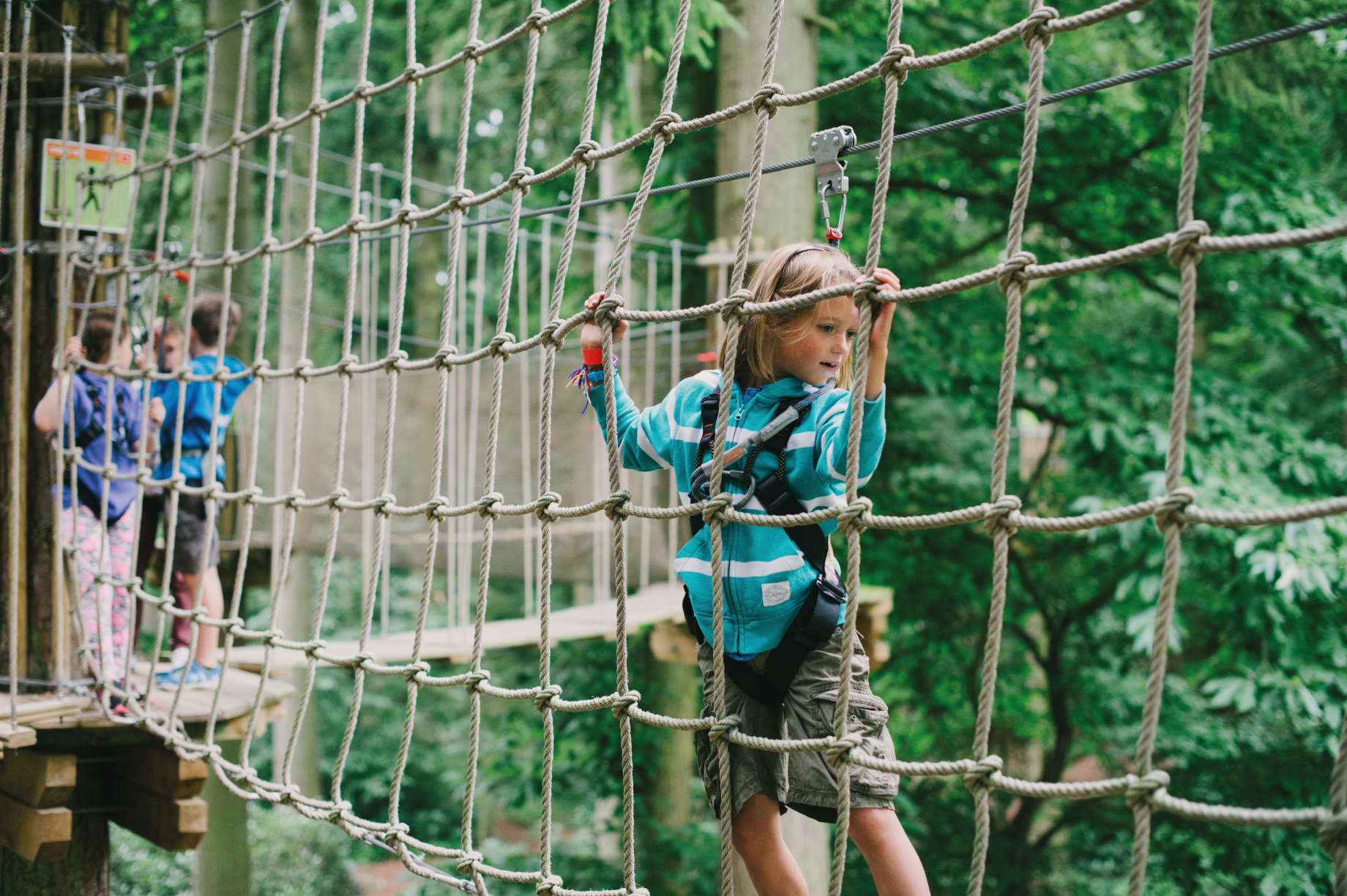 Hang out at Go Ape this summer