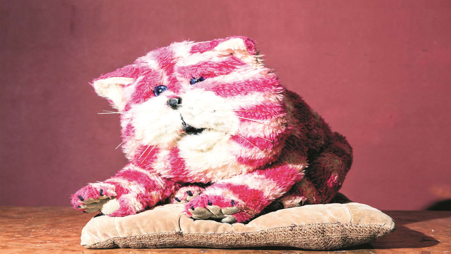 Canterbury's Bagpuss is one of the 100 Objects that Made Kent
