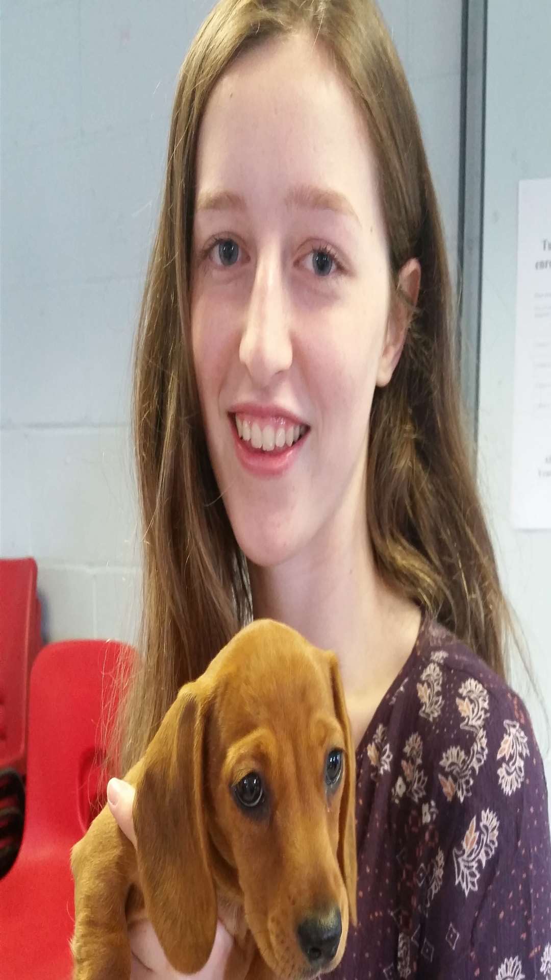 Hannah Sullivan, 16, with puppy Luna, 10 weeks